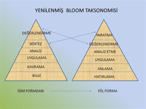 bloom taksonomisi
